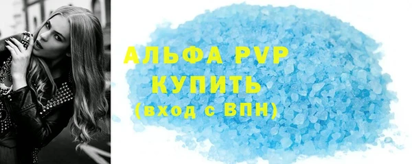 гидра Богородск