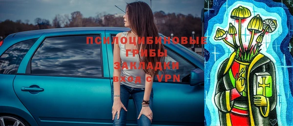 МДПВ Богданович