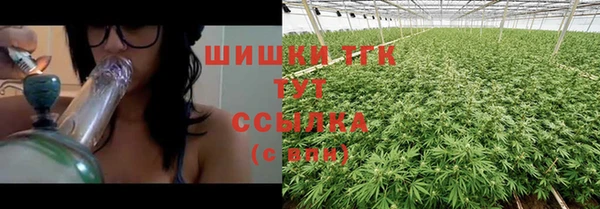 PSILOCYBIN Навашино
