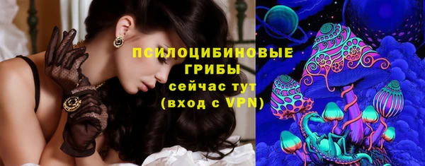 PSILOCYBIN Навашино