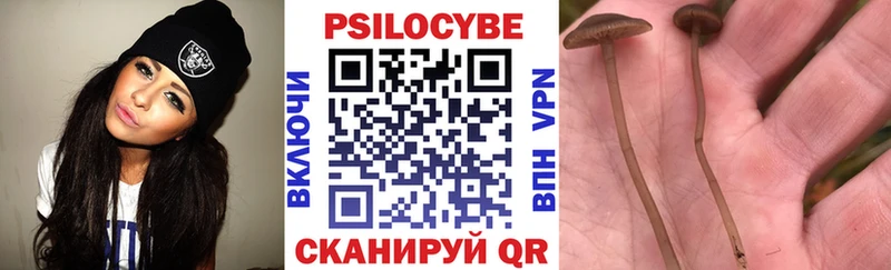 нарко площадка формула  Болохово  Галлюциногенные грибы прущие грибы 