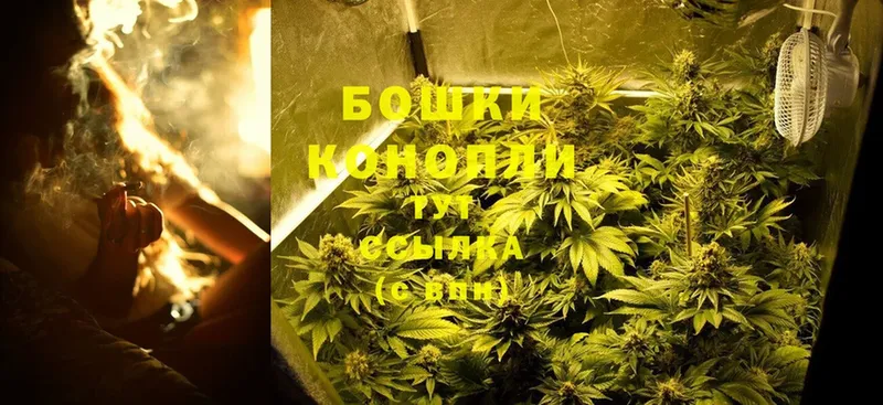 Шишки марихуана LSD WEED  где продают наркотики  Болохово 